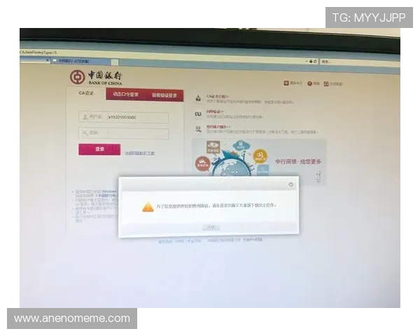 欧博会员登录网银遇到登录失败的原因分析与解决方案